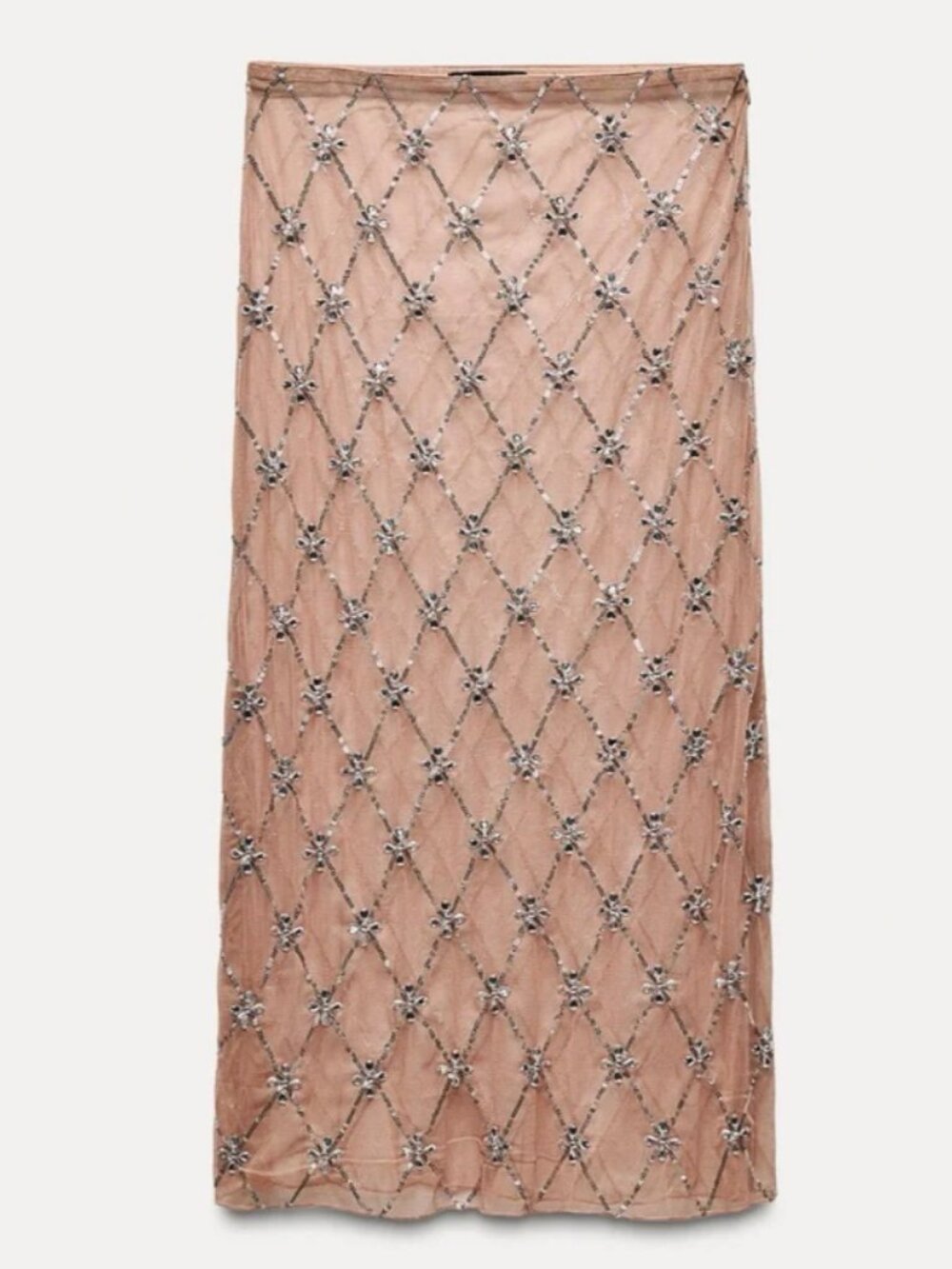 NWT Rare Zara Sheerluxe beaded midi skirt small